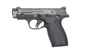 Smith and Wesson M&P Bodyguard 380 2.0 CC 380 ACP