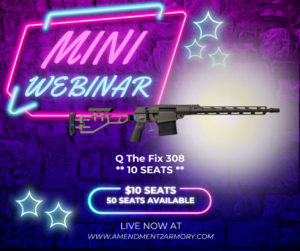 ***MINI WEBINAR*** 10 SEATS TO Q The Fix 308